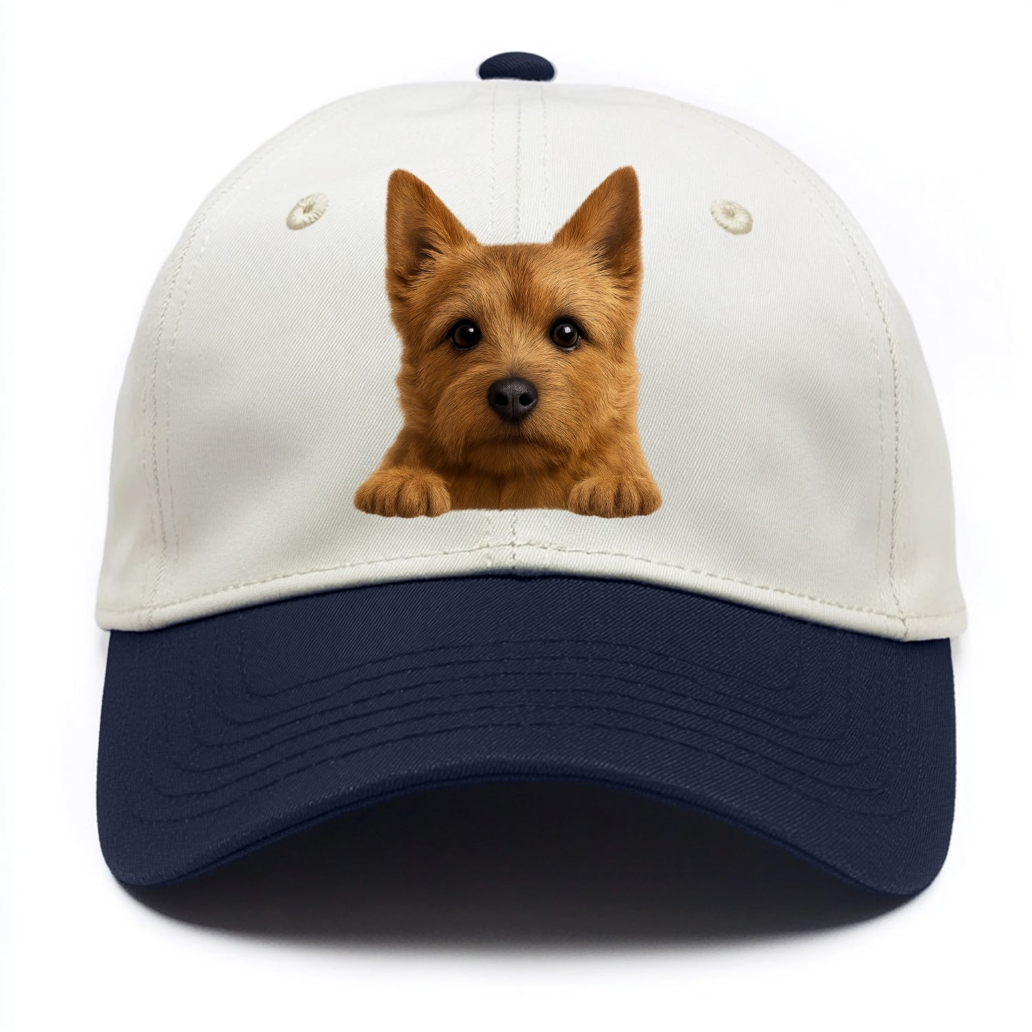 Norwich Terrier  - Two Tone Cap - Navy