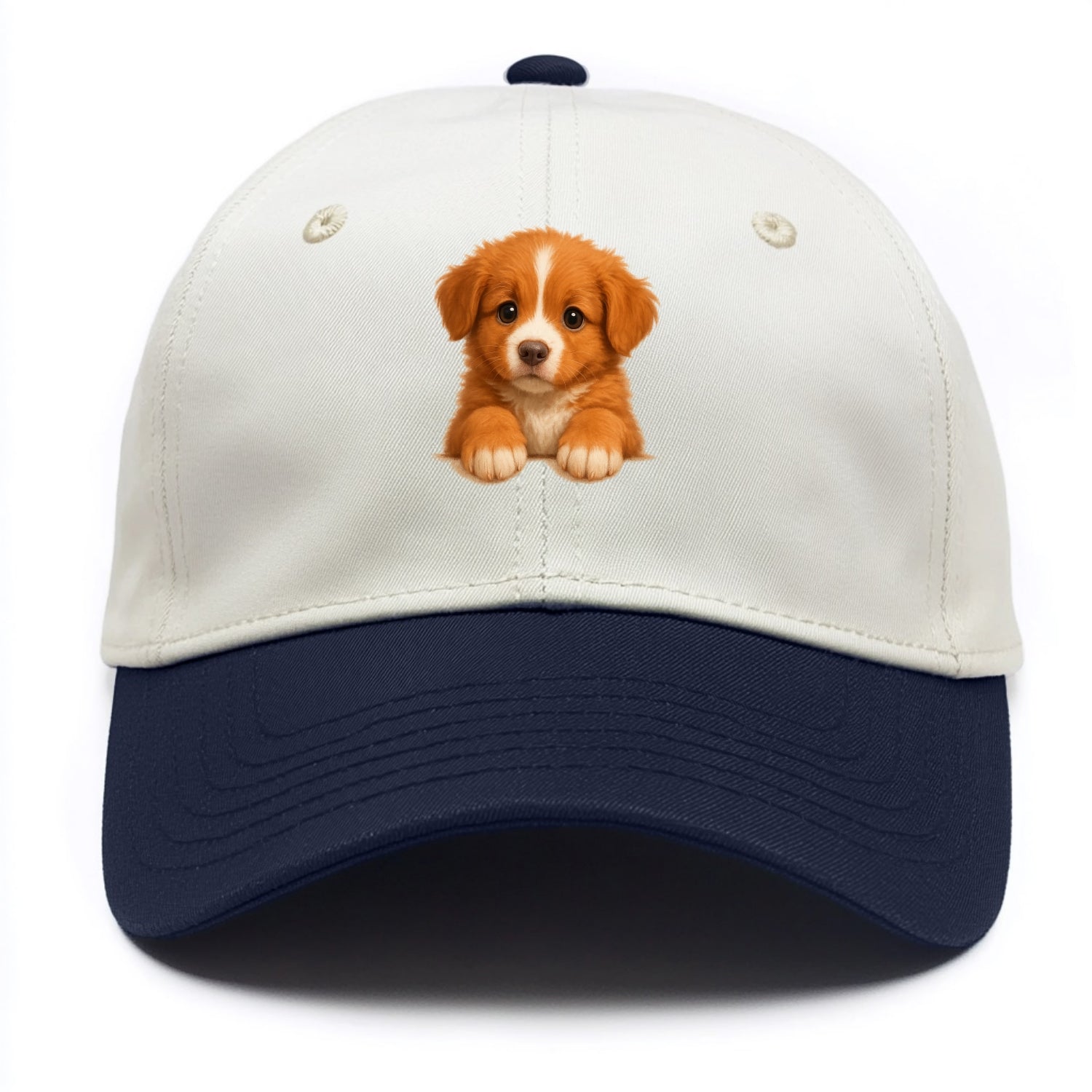Nova Scotia Duck Tolling Retriever  - Two Tone Cap - Navy