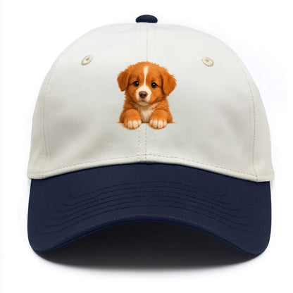Nova Scotia Duck Tolling Retriever  - Two Tone Cap - Navy