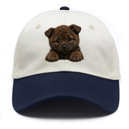 Kai Ken  - Two Tone Cap - Navy