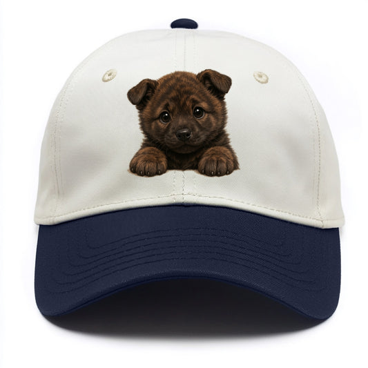 Kai Ken  - Two Tone Cap - Navy