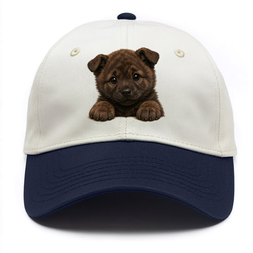 Kai Ken  - Two Tone Cap