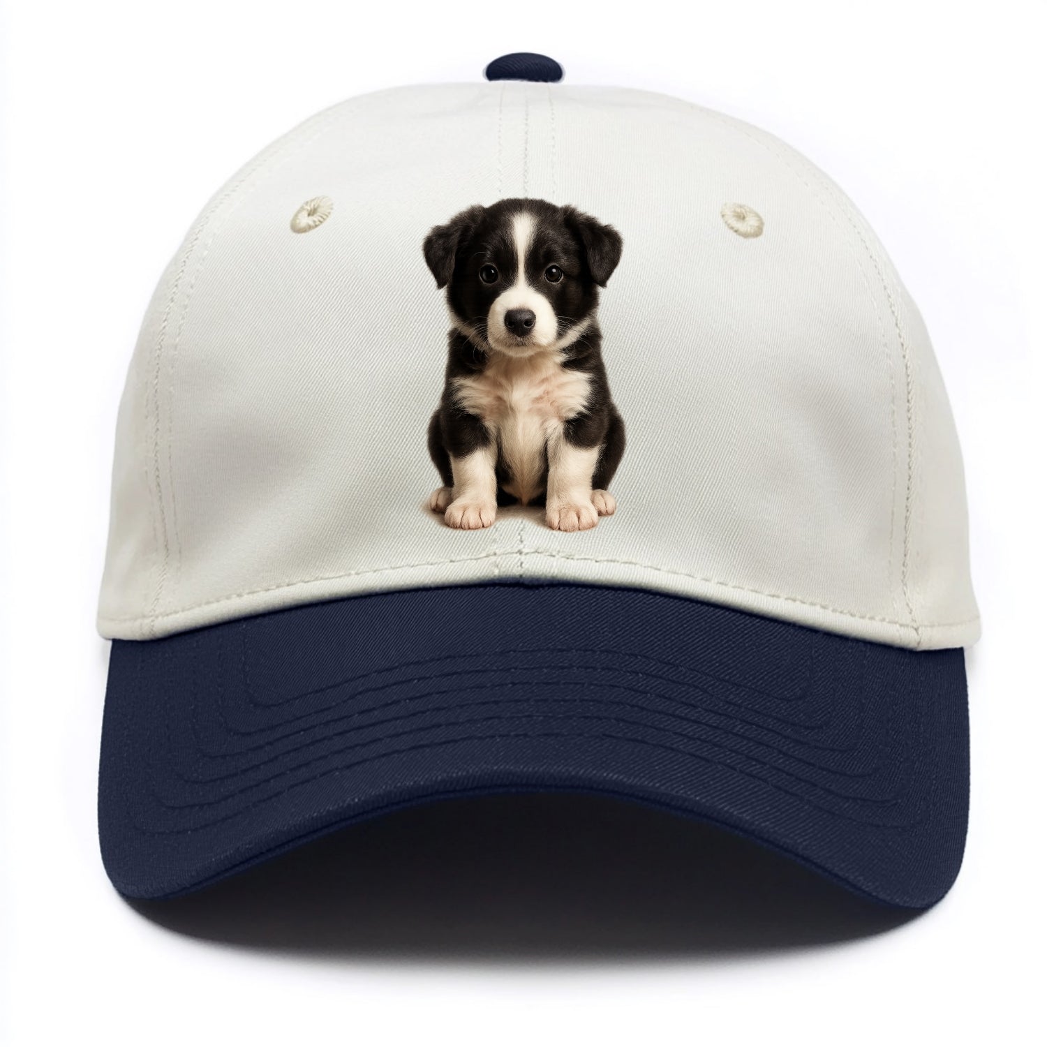 Baby Border Collie Puppy - black and white, intense smart eyes, athletic build, - Two Tone Cap - Navy