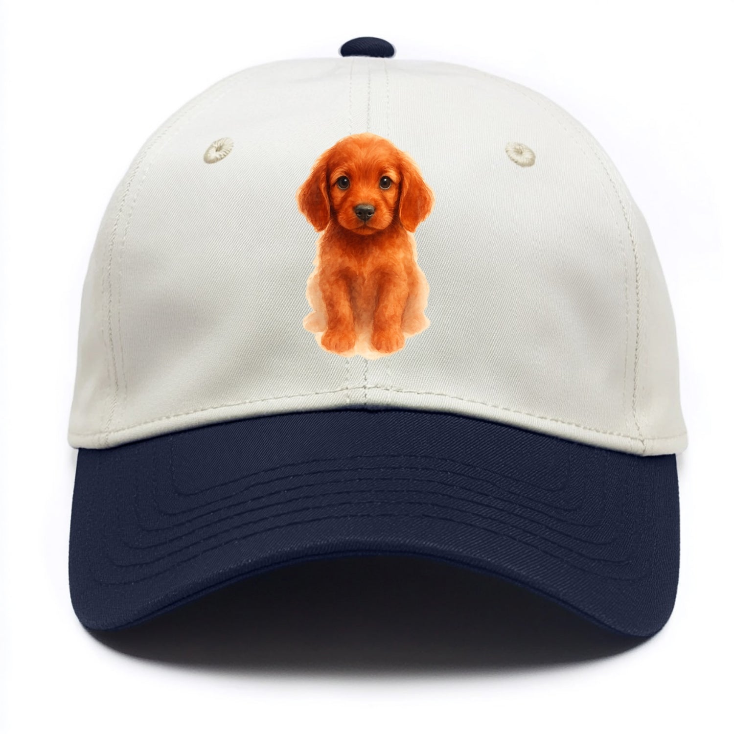 Baby Irish Setter Puppy - mahogany red coat, feathered ears, friendly eyes, - Two Tone Cap - Navy