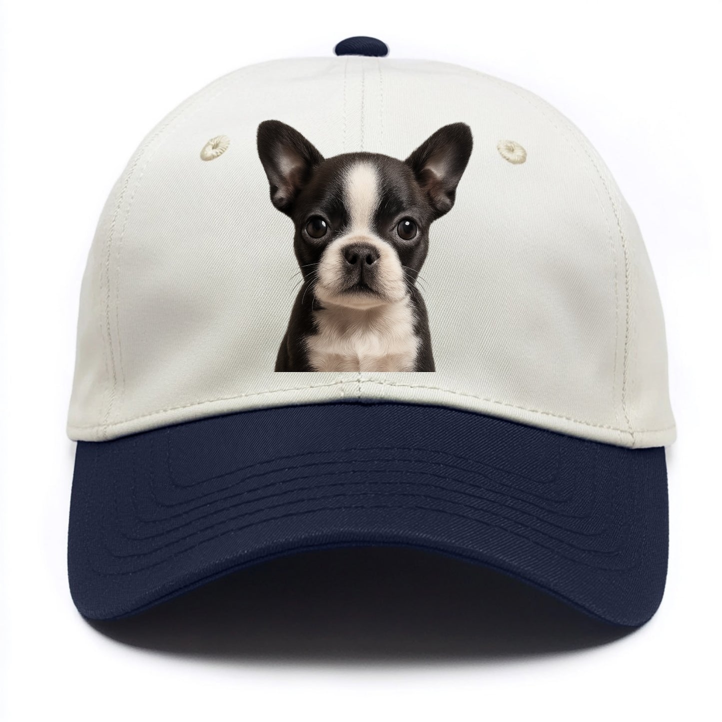 Baby Boston Terrier Puppy - tuxedo markings, big round eyes, bat ears, front-facing, - Two Tone Cap - Navy