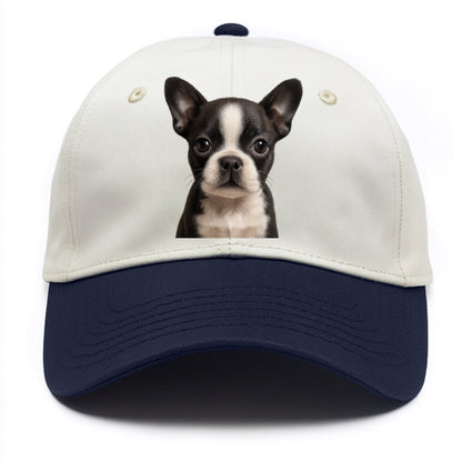 Baby Boston Terrier Puppy - tuxedo markings, big round eyes, bat ears, front-facing, - Two Tone Cap - Navy