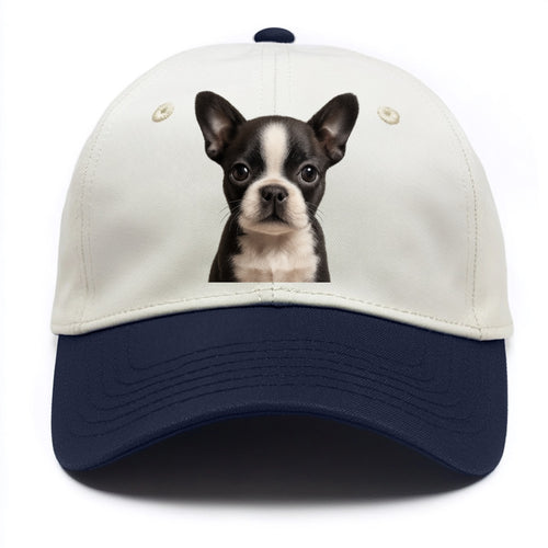 Baby Boston Terrier Puppy - tuxedo markings, big round eyes, bat ears, front-facing, - Two Tone Cap