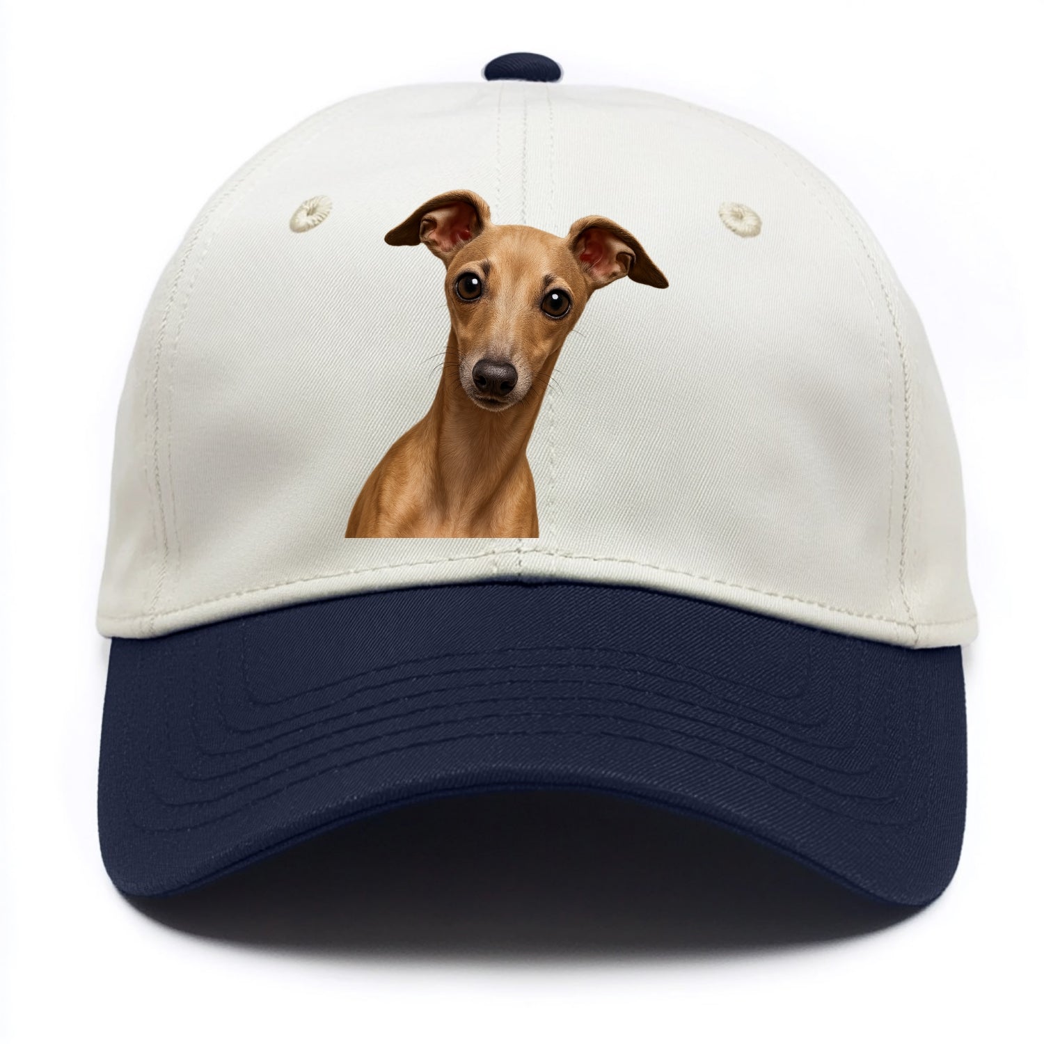 Italian Greyhound  - Two Tone Cap - Navy