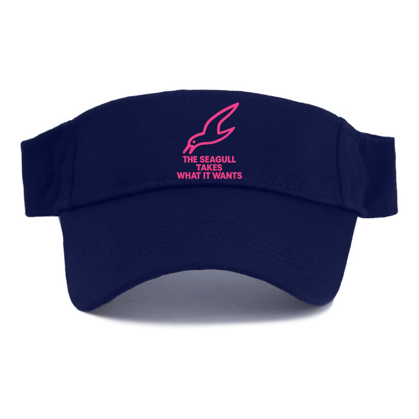 THE SEAGULL TAKES WHAT IT WANTS | Aggressive seagull diving down - Visor - Navy
