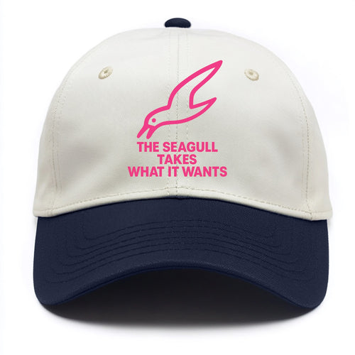 THE SEAGULL TAKES WHAT IT WANTS | Aggressive seagull diving down - Two Tone Cap