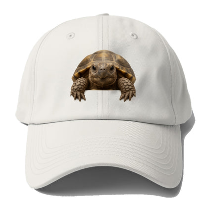 Tortoise  - Baseball Cap For Big Heads - Off White