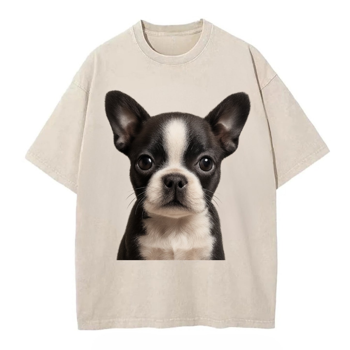 Baby Boston Terrier Puppy - tuxedo markings, big round eyes, bat ears, - Vintage T-shirt - Off White