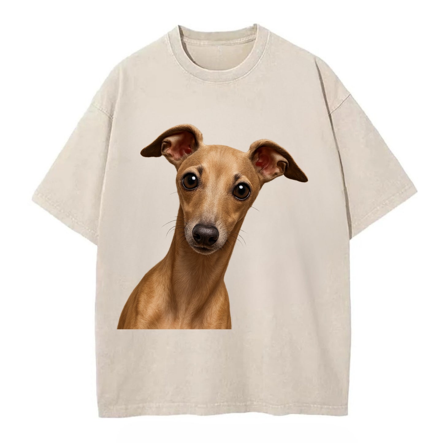 Italian Greyhound  - Vintage T-shirt - Off White