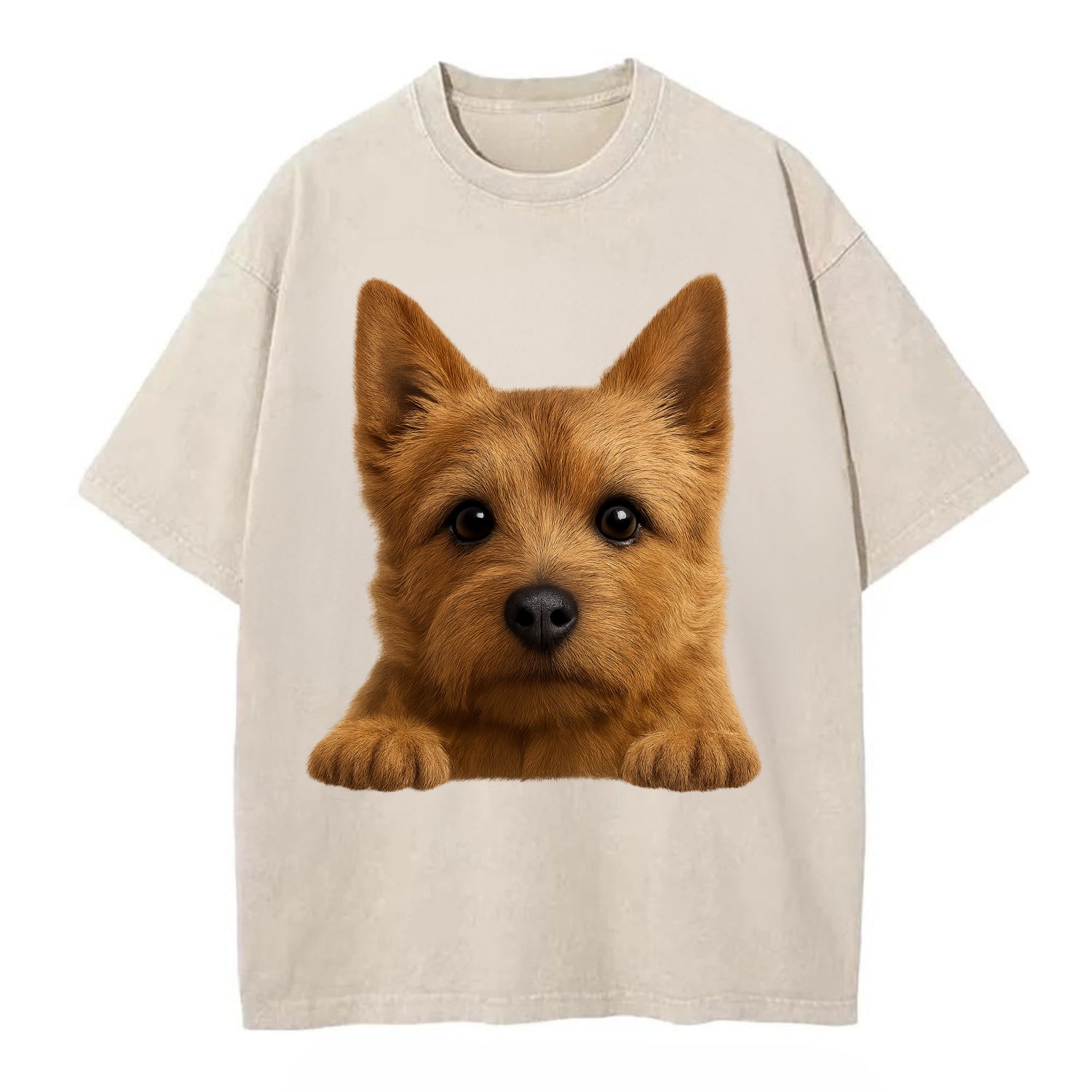 Norwich Terrier  - Vintage T-shirt - Off White