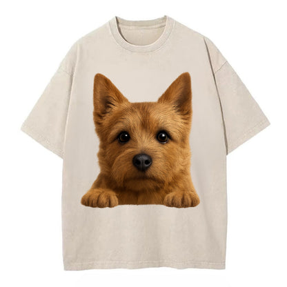 Norwich Terrier  - Vintage T-shirt - Off White