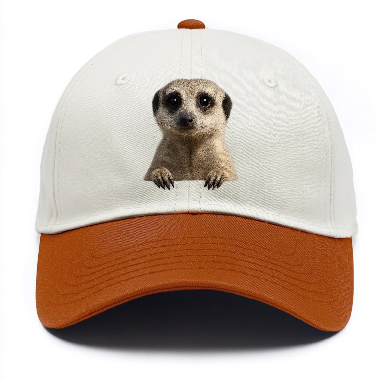 Meerkat  - Two Tone Cap - Orange