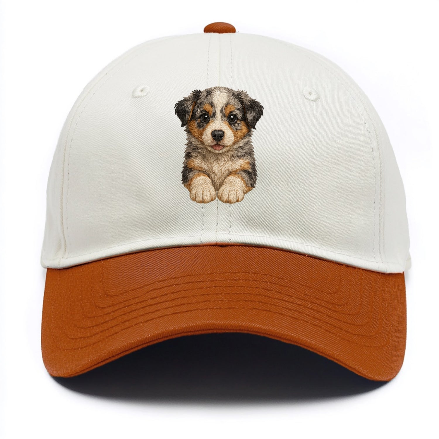 Baby Australian Shepherd Puppy - merle coat, bright eyes, fluffy, front-facing, - Two Tone Cap - Orange