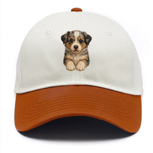 Baby Australian Shepherd Puppy - merle coat, bright eyes, fluffy, front-facing, - Two Tone Cap