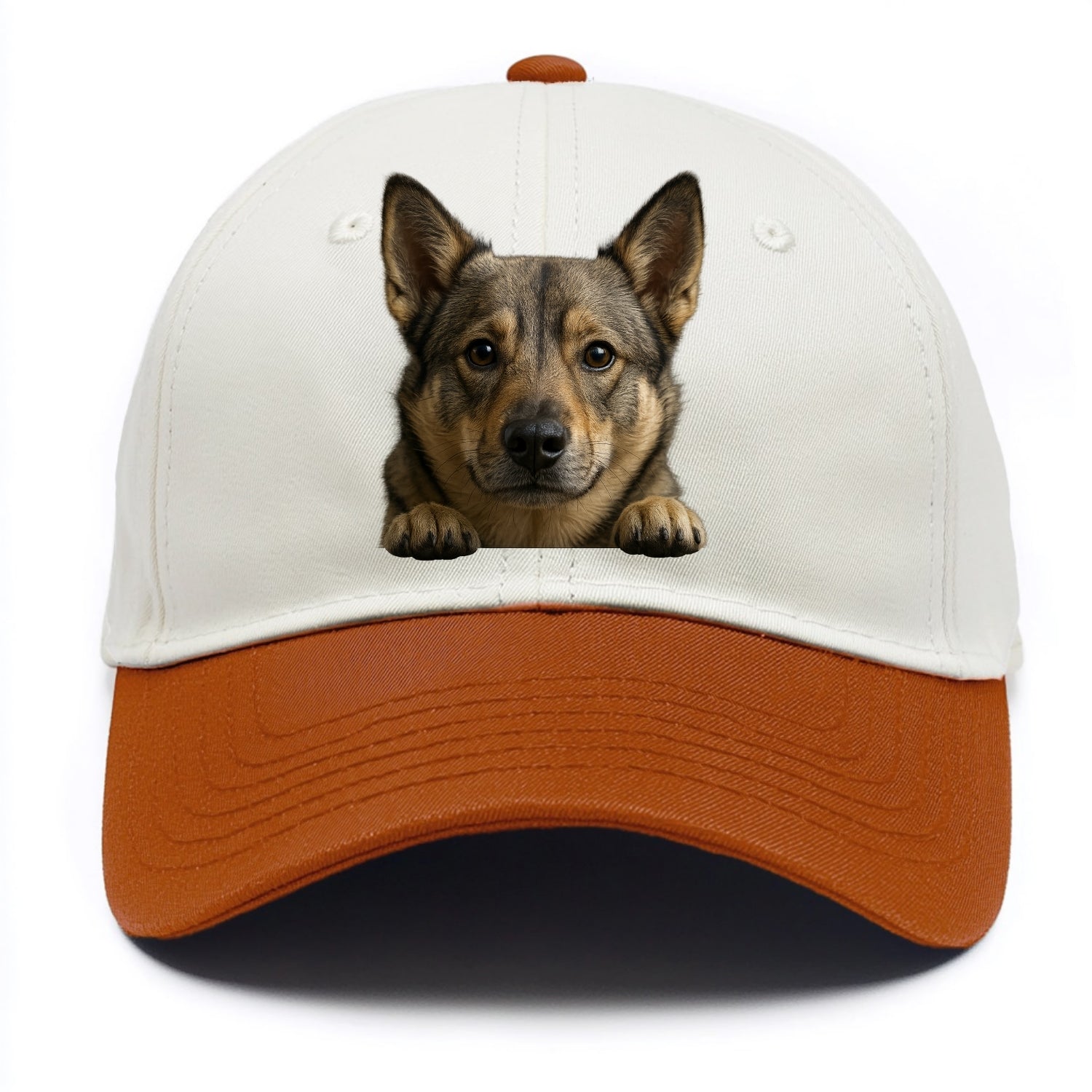 Swedish Vallhund  - Two Tone Cap - Orange