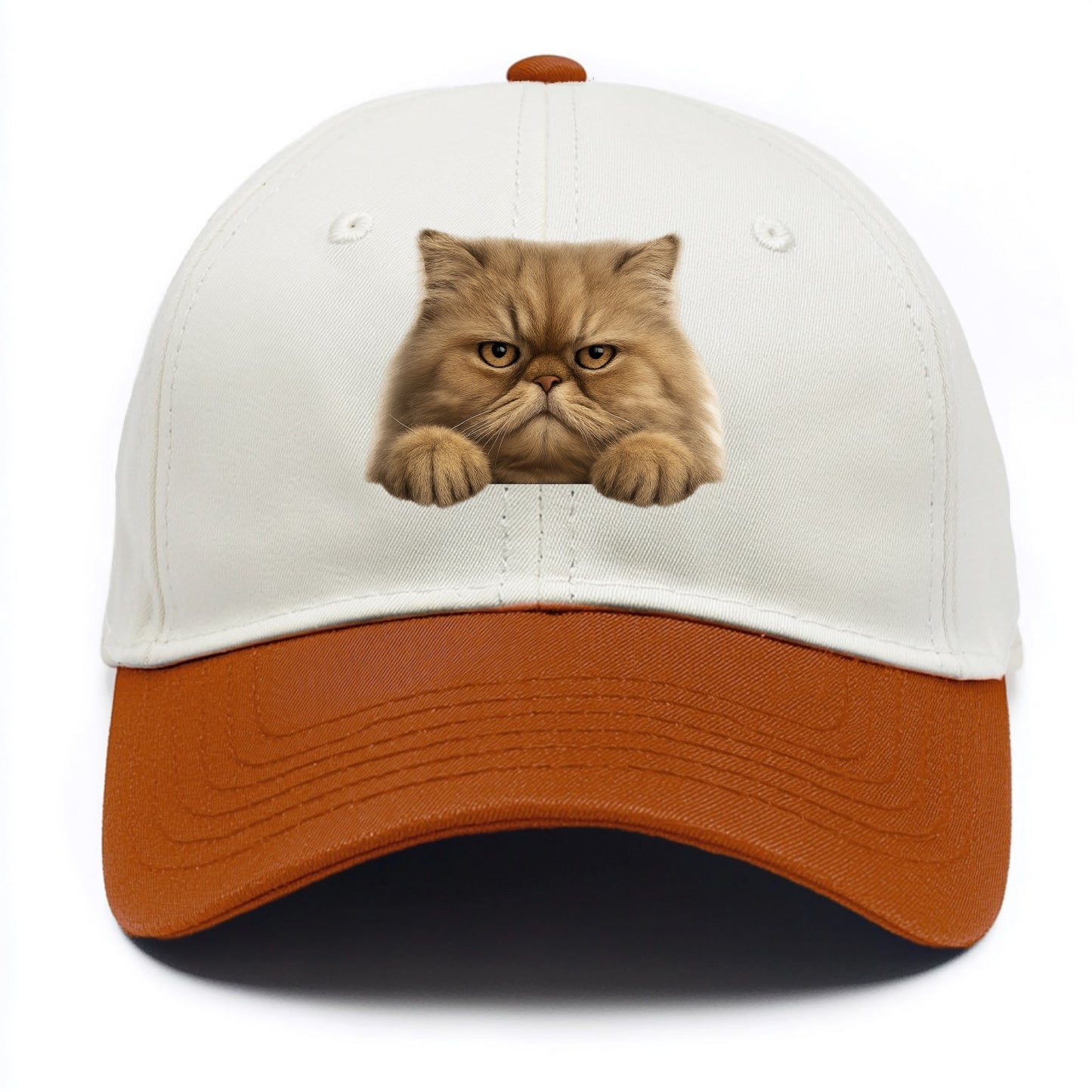 Persian Cat  - Two Tone Cap - Orange