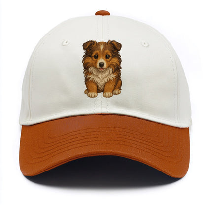 Baby Shetland Sheepdog Puppy - mini collie look, flowing mane, intelligent eyes, - Two Tone Cap - Orange