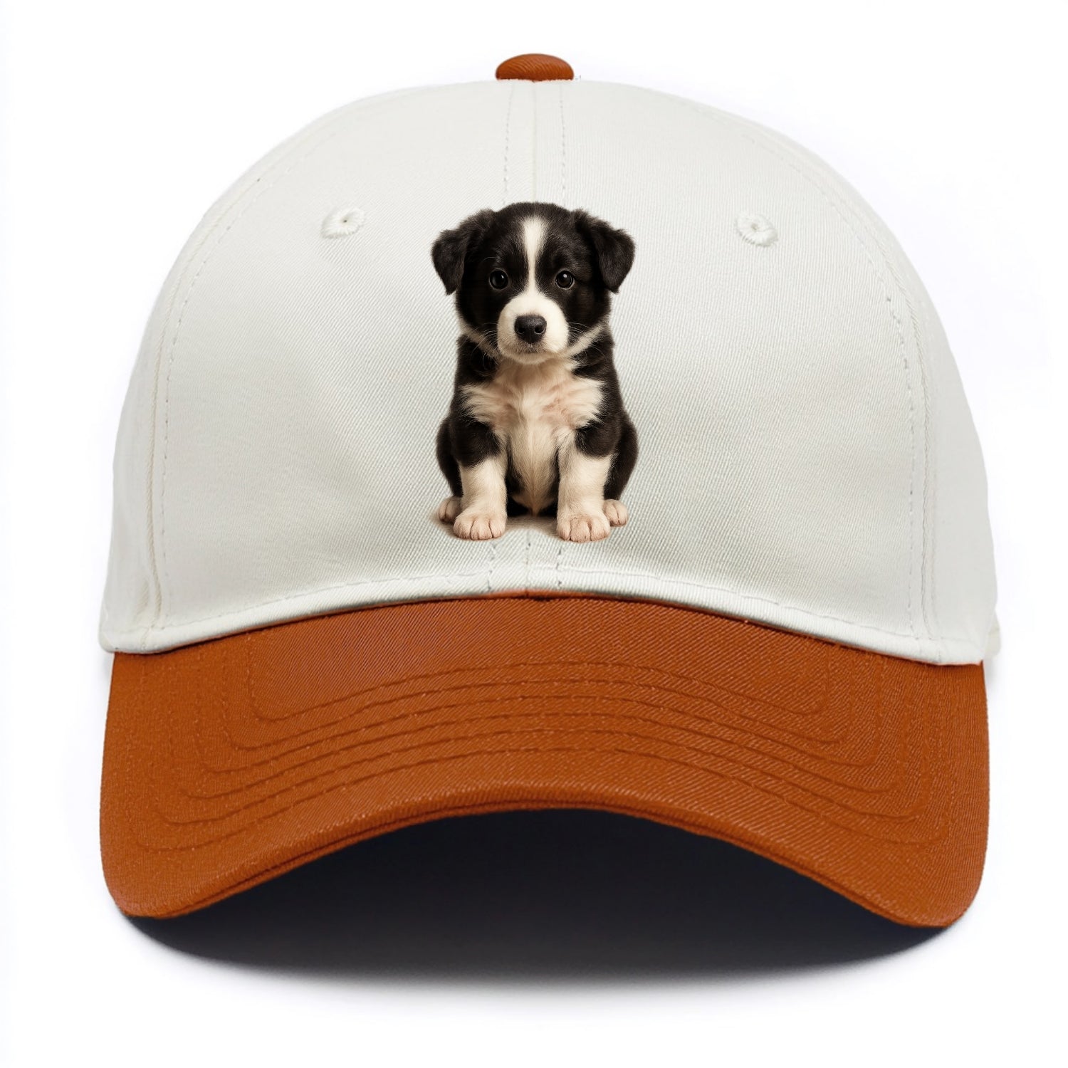 Baby Border Collie Puppy - black and white, intense smart eyes, athletic build, - Two Tone Cap - Orange