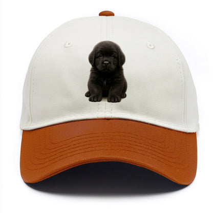 Baby Newfoundland Puppy - giant fluffy black, gentle eyes, webbed paws, - Two Tone Cap - Orange