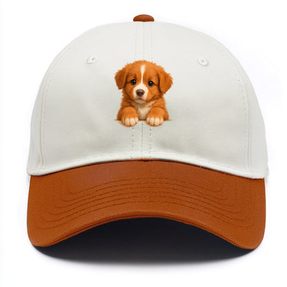 Nova Scotia Duck Tolling Retriever  - Two Tone Cap - Orange