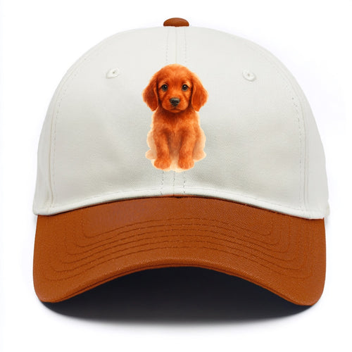 Baby Irish Setter Puppy - mahogany red coat, feathered ears, friendly eyes, - Two Tone Cap