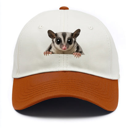 Sugar Glider  - Two Tone Cap - Orange