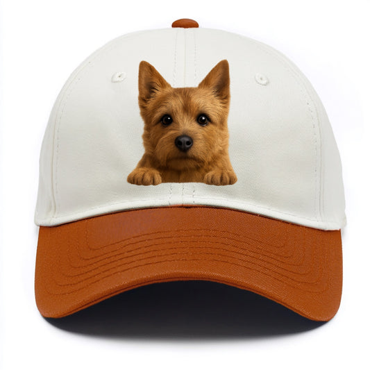 Norwich Terrier  - Two Tone Cap - Orange