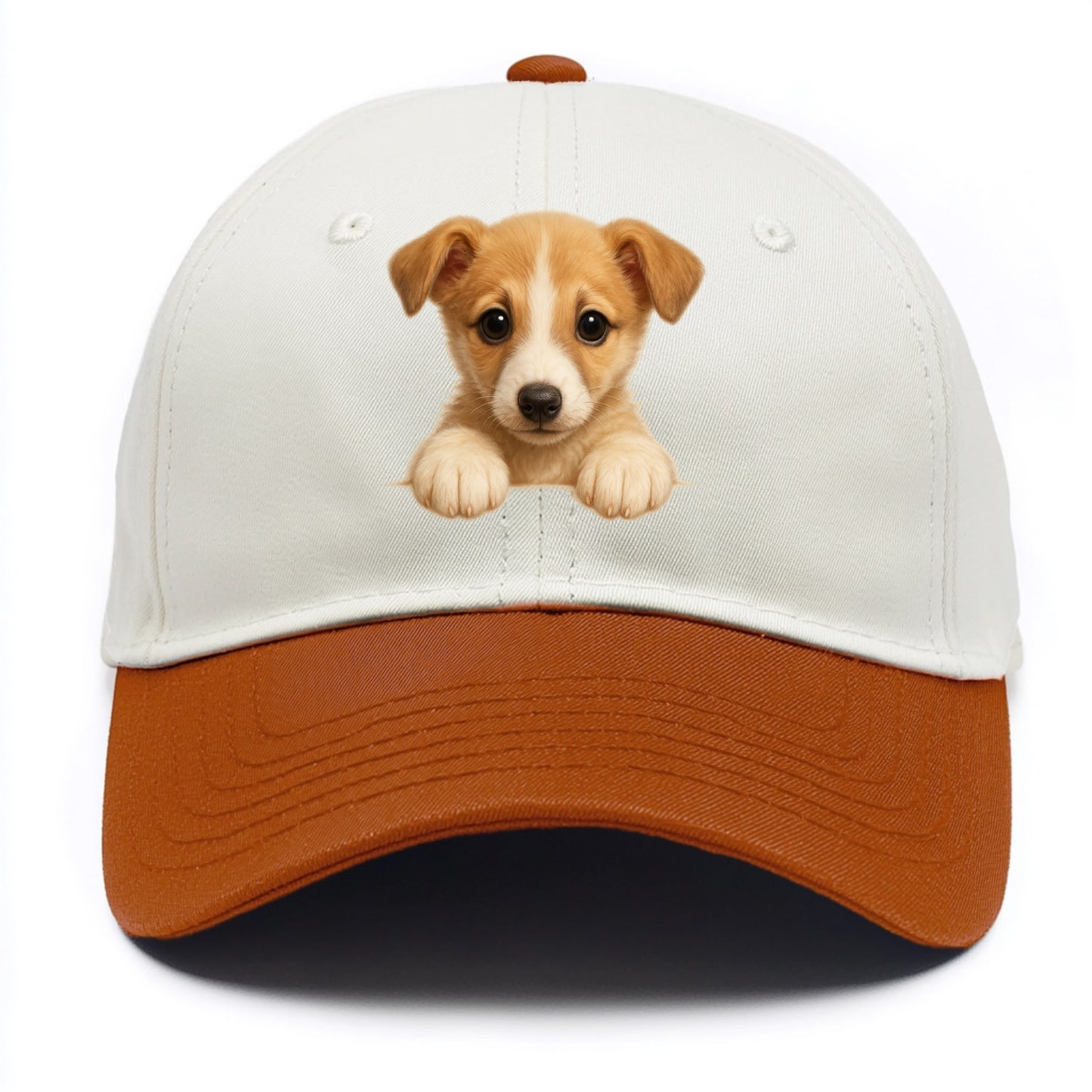 Whippet  - Two Tone Cap - Orange