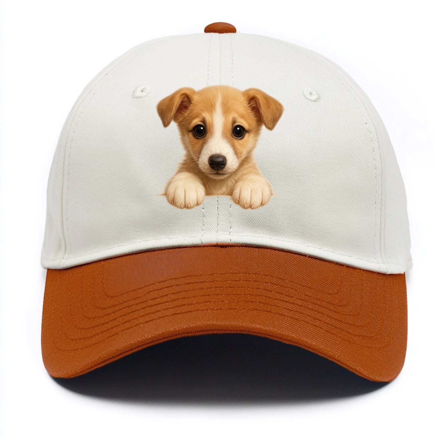 Whippet  - Two Tone Cap - Orange