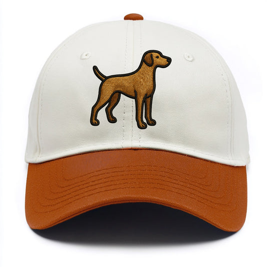 Pointer - Contemporary athletic design w - Two Tone Cap - Orange