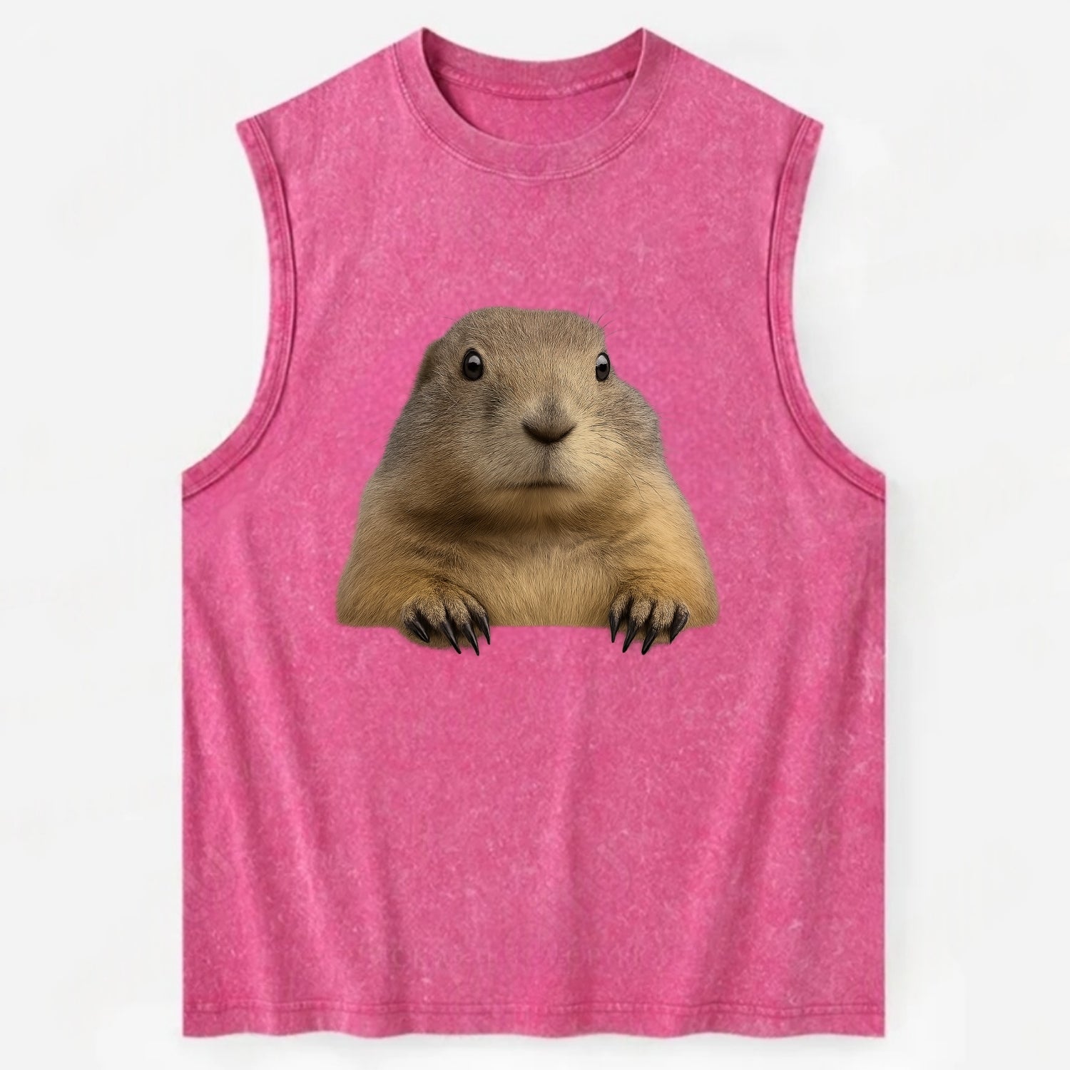 Prairie Dog  - Vintage Washed Tank - Pink