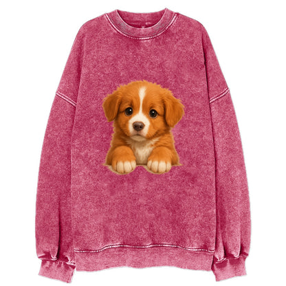 Nova Scotia Duck Tolling Retriever  - Vi - Vintage Sweatshirt - Pink