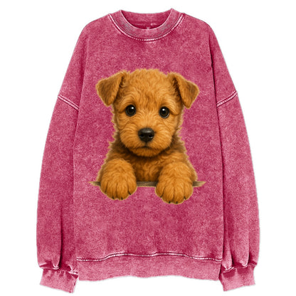 Lakeland Terrier  - Vintage Sweatshirt - Pink
