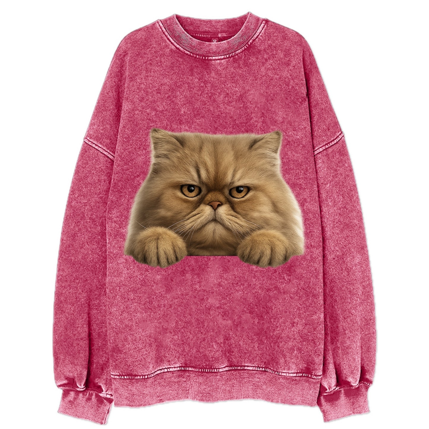 Persian Cat  - Vintage Sweatshirt - Pink