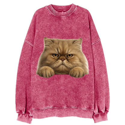 Persian Cat  - Vintage Sweatshirt - Pink