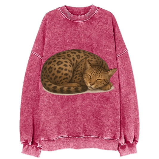 Ashera  - Vintage Sweatshirt - Pink