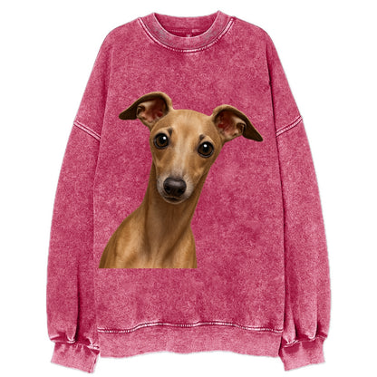 Italian Greyhound  - Vintage Sweatshirt - Pink