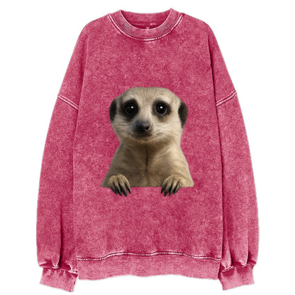 Meerkat  - Vintage Sweatshirt - Pink