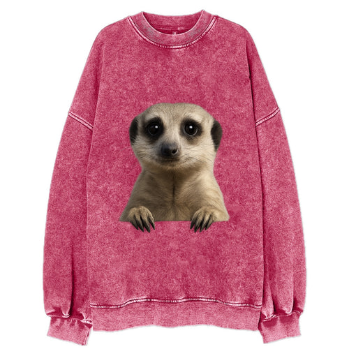 Meerkat  - Vintage Sweatshirt