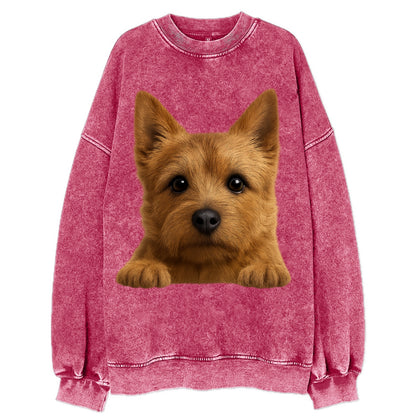 Norwich Terrier  - Vintage Sweatshirt - Pink