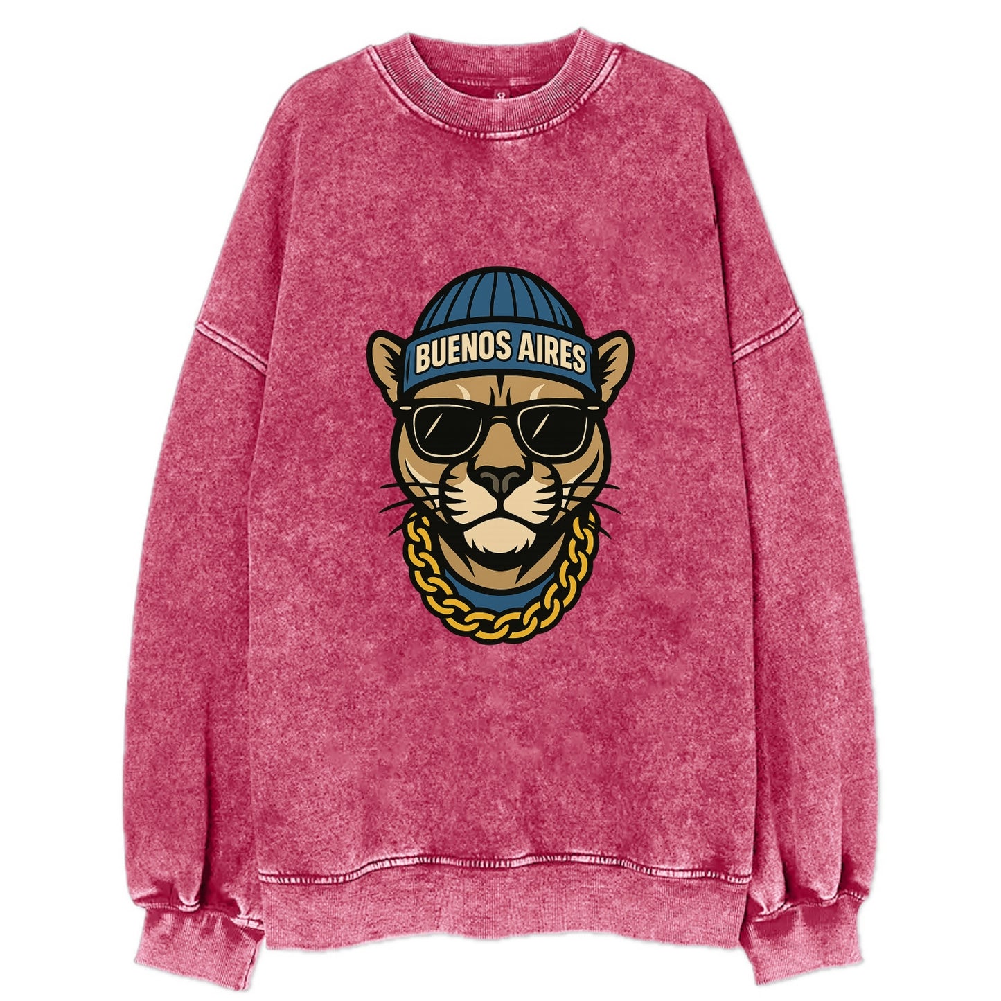 Buenos Aires Puma - Vintage Sweatshirt - Pink