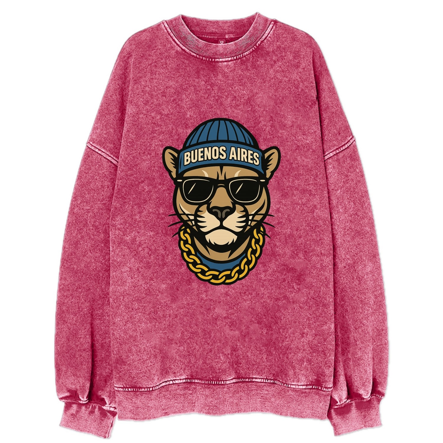 Buenos Aires Puma - Vintage Sweatshirt - Pink