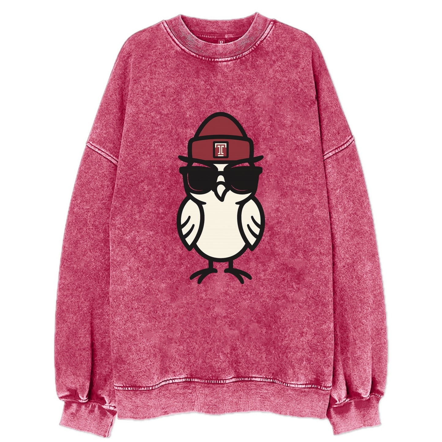 Philadelphia Owl wearing Temple beanie with T patch - Vintage Sweatshirt - Pink