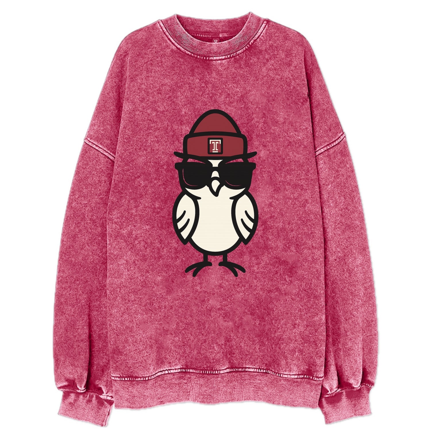 Philadelphia Owl wearing Temple beanie with T patch - Vintage Sweatshirt - Pink