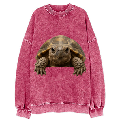 Tortoise  - Vintage Sweatshirt - Pink