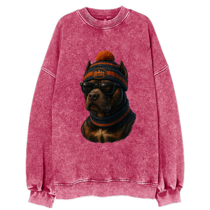 Chicago Pitbull wearing Bears beanie with skyline patch and wayfarer sunglasses - Vintage Sweatshirt - Pink